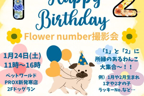 1月24日（土）＼𝑯𝒂𝒑𝒑𝒚 𝑩𝒊𝒓𝒕𝒉𝒅𝒂𝒚／フラワーナンバー撮影会 開催！